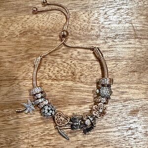 Pandora authentic bracelet & charms boho whimsical set